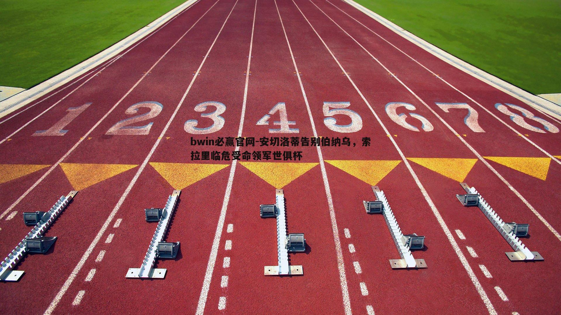 bwin必赢官网-安切洛蒂告别伯纳乌，索拉里临危受命领军世俱杯-第1张图片-bwin必赢官网
